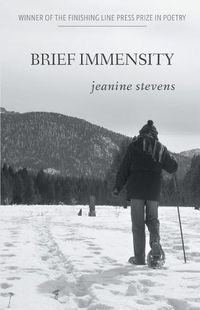 Cover image for Brief Immensity