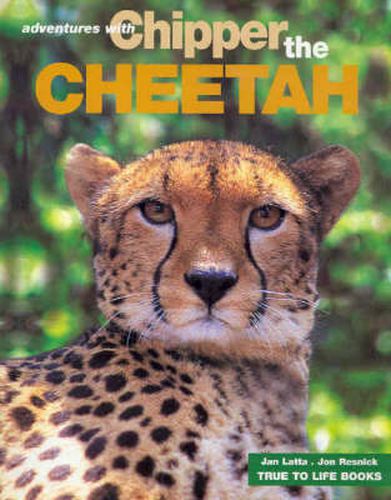 Cover image for Chipper the Cheetah