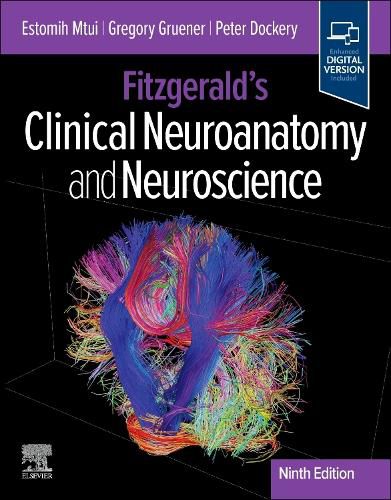 Cover image for Fitzgerald's Clinical Neuroanatomy and Neuroscience