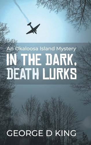 Cover image for An Okaloosa Island Mystery