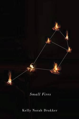 Cover image for Small Fires