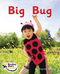 Cover image for Big Bug: Phase 2