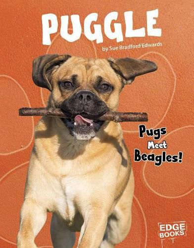 Cover image for Puggle: Pugs Meet Beagles!