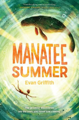 Cover image for Manatee Summer