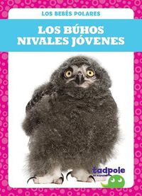 Cover image for Los Buhos Nivales Jovenes (Snowy Owlets)