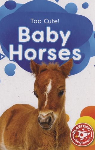 Cover image for Baby Horses