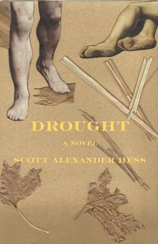Cover image for Drought