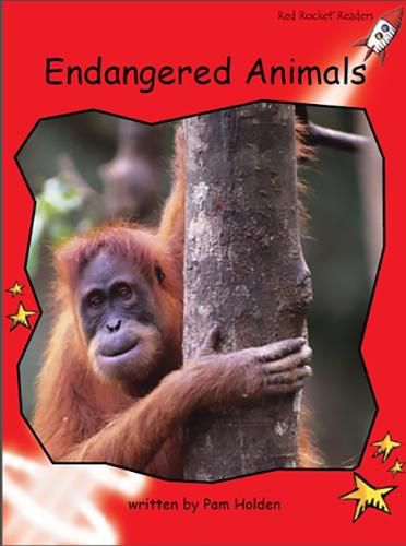 Cover image for Red Rocket Readers: Early Level 1 Non-Fiction Set C: Endangered Animals Big Book Edition (Reading Level 3/F&P Level C)