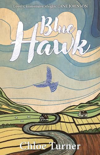 Cover image for Blue Hawk