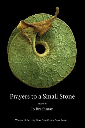 Cover image for Prayers to a Small Stone