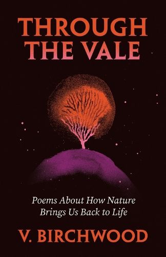 Cover image for Through the Vale