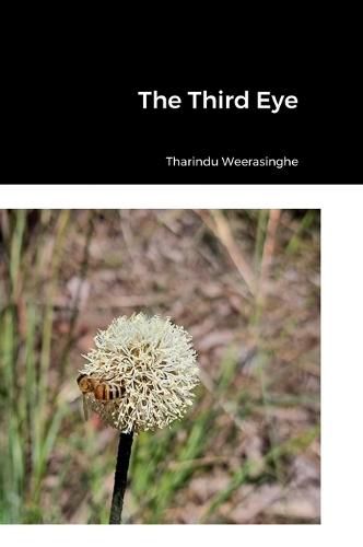 Cover image for The Third Eye