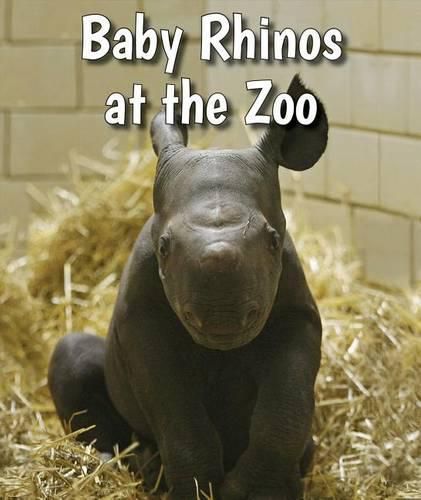 Cover image for Baby Rhinos at the Zoo