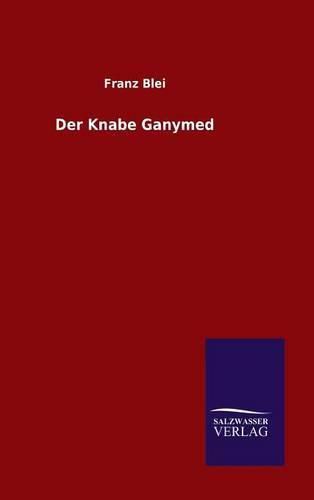 Cover image for Der Knabe Ganymed