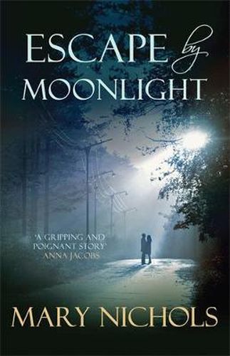 Cover image for Escape by Moonlight