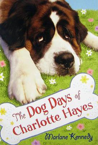 Cover image for The Dog Days of Charlotte Hayes