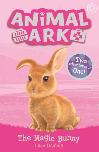 Animal Ark, New 4: The Magic Bunny: Special 4