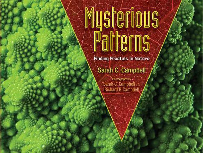 Cover image for Mysterious Patterns