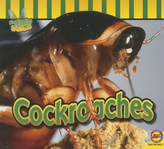 Cover image for Cockroaches