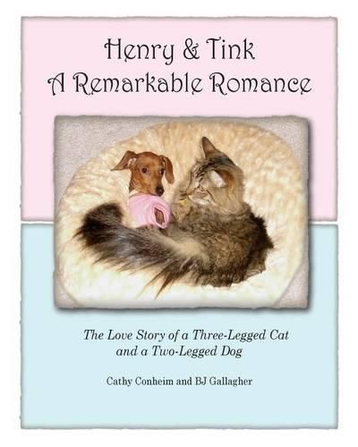 Cover image for Henry and Tink: A Remarkable Romance: The Love Story of a Three-Legged Cat and a Two-Legged Dog