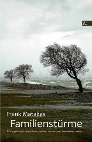 Cover image for Familiensturme