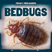 Cover image for Bedbugs