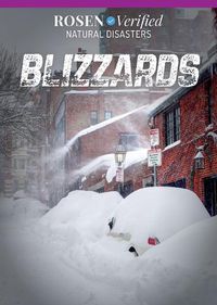 Cover image for Blizzards