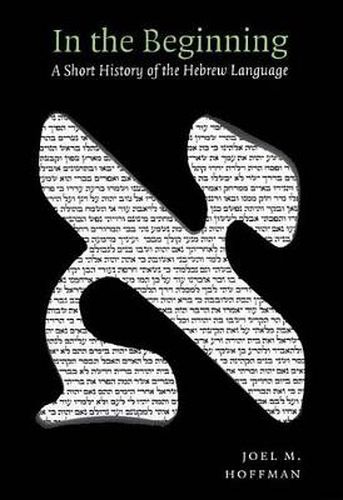 Cover image for In the Beginning: A Short History of the Hebrew Language