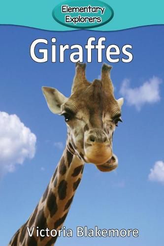 Cover image for Giraffes