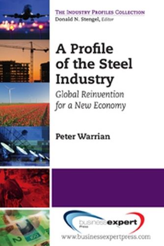 Cover image for A Profile of the Steel Industry