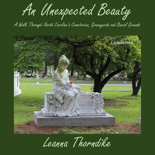 Cover image for An Unexpected Beauty