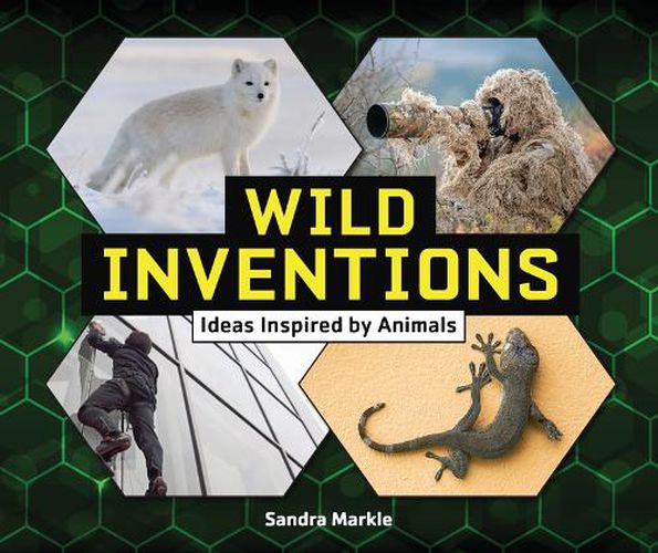 Cover image for Wild Inventions