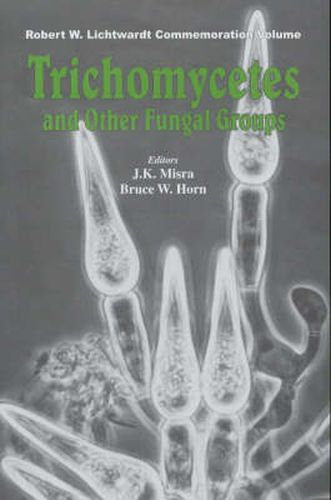 Cover image for Trichomycetes and Other Fungal Groups