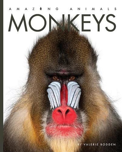 Cover image for Amazing Animals: Monkeys