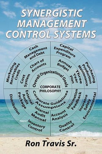 Cover image for Synergistic Management Control Systems
