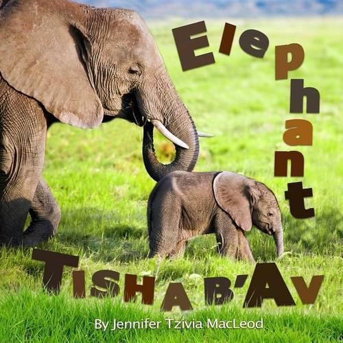 Cover image for Elephant Tisha b'Av