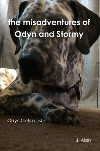 Cover image for the Misadventures of Odyn and Stormy