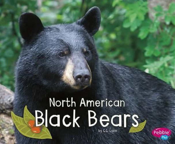 Cover image for North American Black Bears