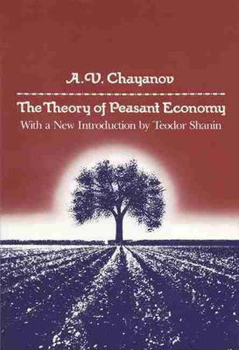 Cover image for Theory of Peasant Economy