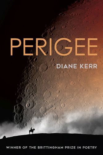 Cover image for Perigee