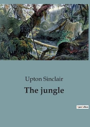 Cover image for The jungle