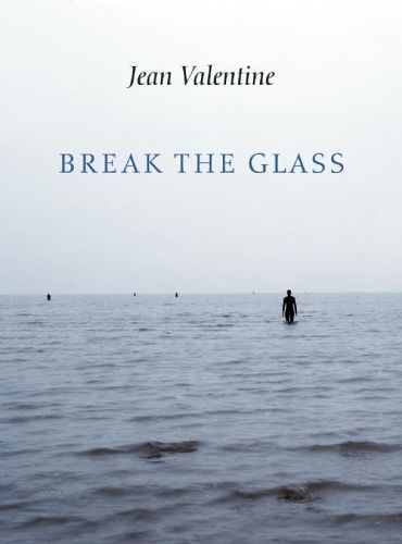 Cover image for Break the Glass