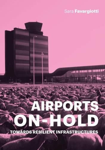 Cover image for Airports on Hold