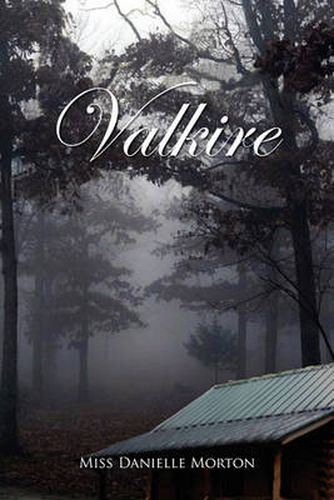 Cover image for Valkire