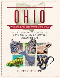 Cover image for Ohio Wildlife Encyclopedia: An Illustrated Guide to Birds, Fish, Mammals, Reptiles, and Amphibians