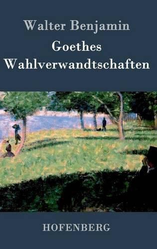 Cover image for Goethes Wahlverwandtschaften