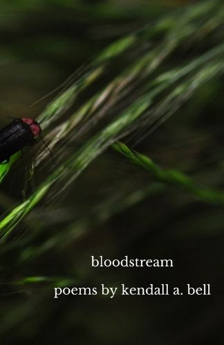 Cover image for bloodstream