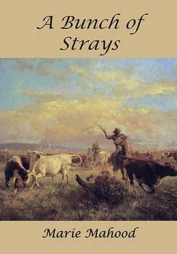 Cover image for A Bunch of Strays