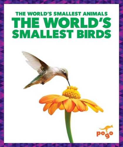 Cover image for The World's Smallest Birds