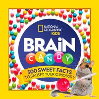 Cover image for Brain Candy: 500 Sweet Facts to Satisfy Your Curiosity